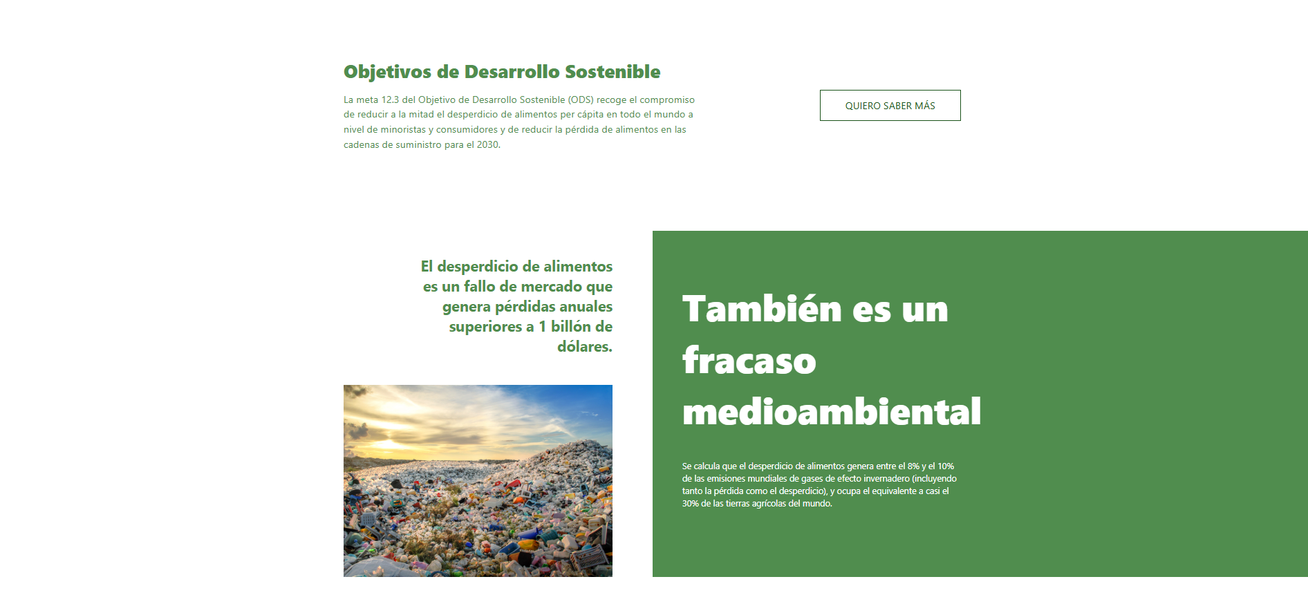 WasteAnalytics 1