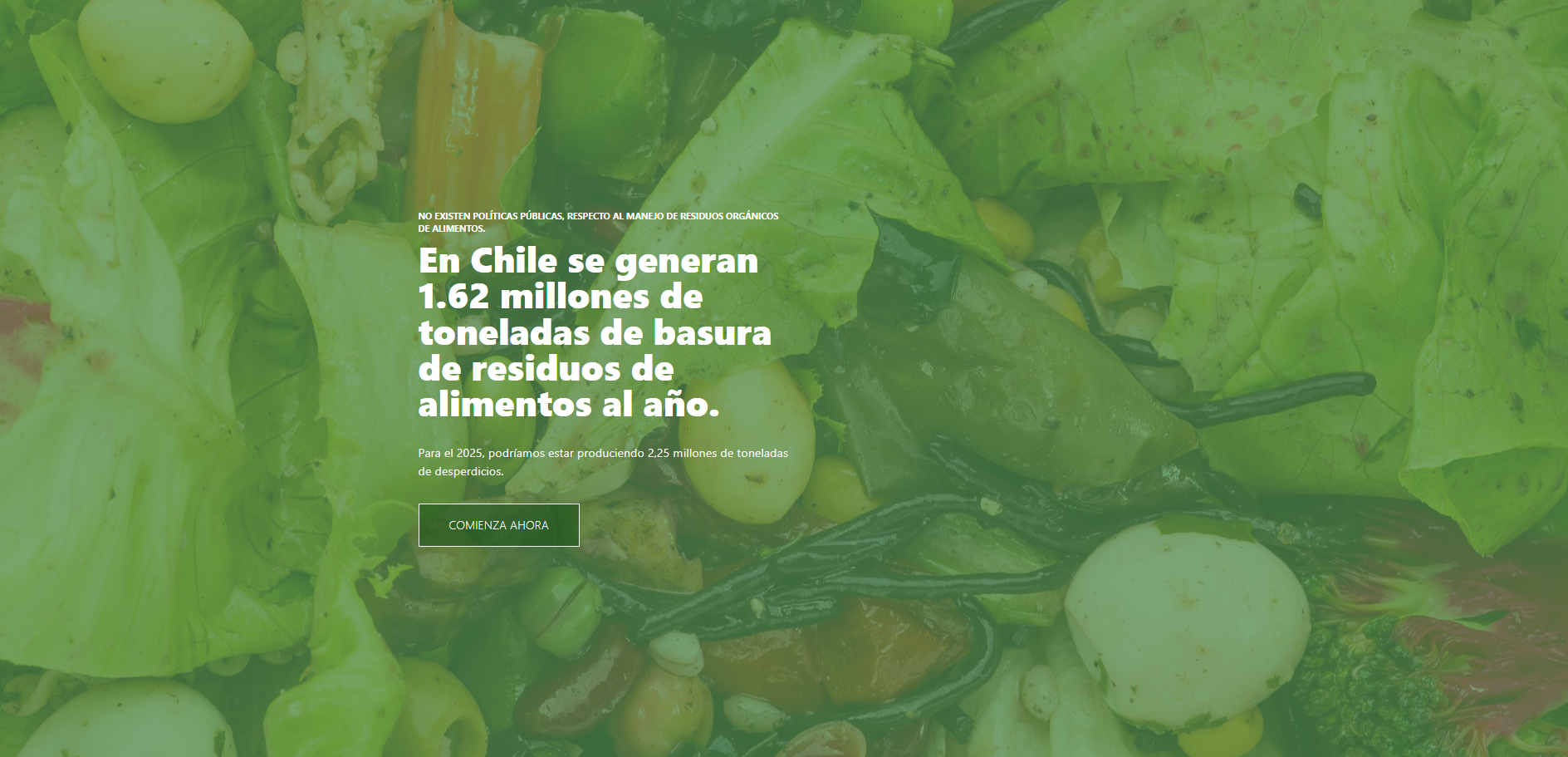 WasteAnalytics 2